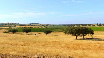 Alentejo