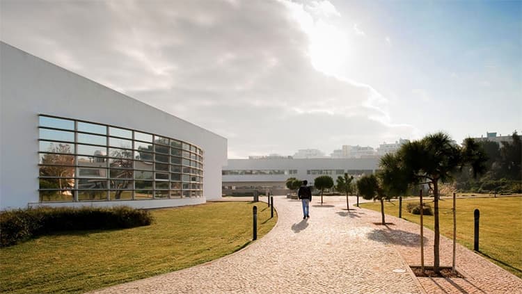 University of Algarve Portugal