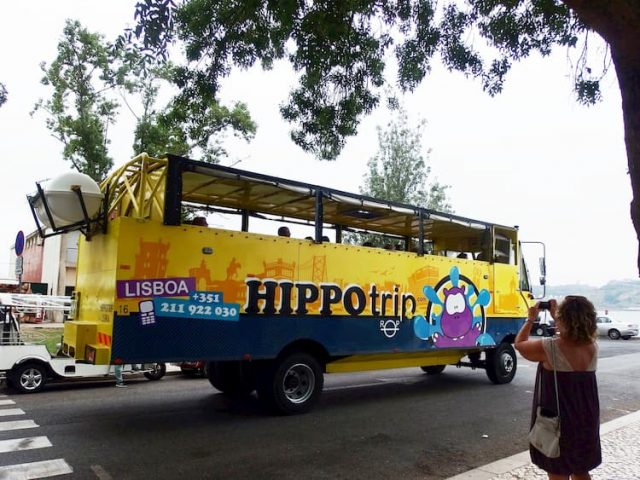 hippo trip