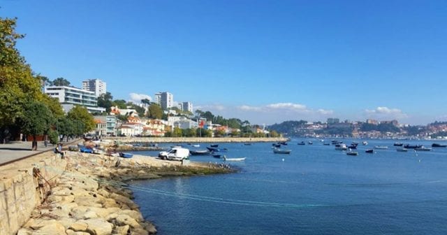 Your Guide to Living in Porto: Top Tips from an Expat