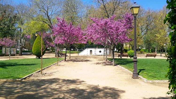 Jardim Publico de Beja Portugal