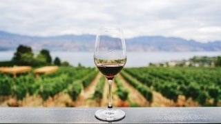 wine tours in Portugal