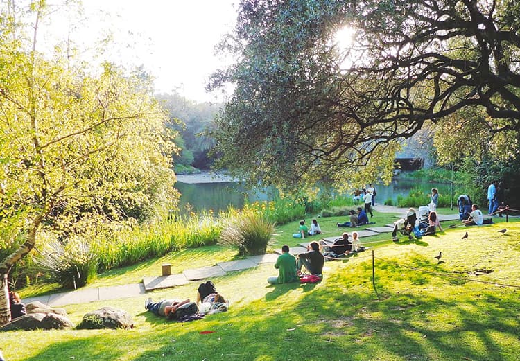 Gulbenkian garden Lisbon Portugal