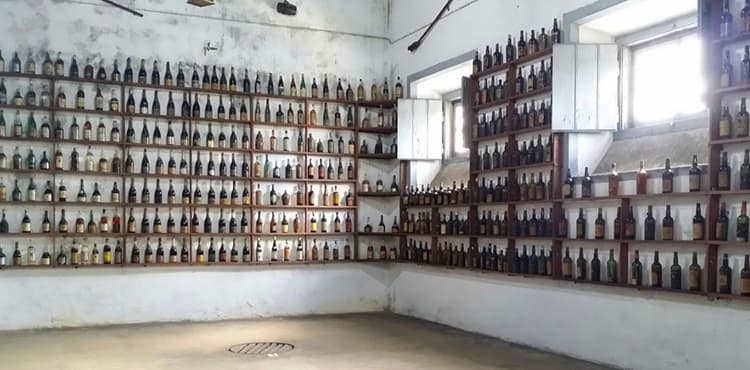 wine museum Alcobaca Portugal