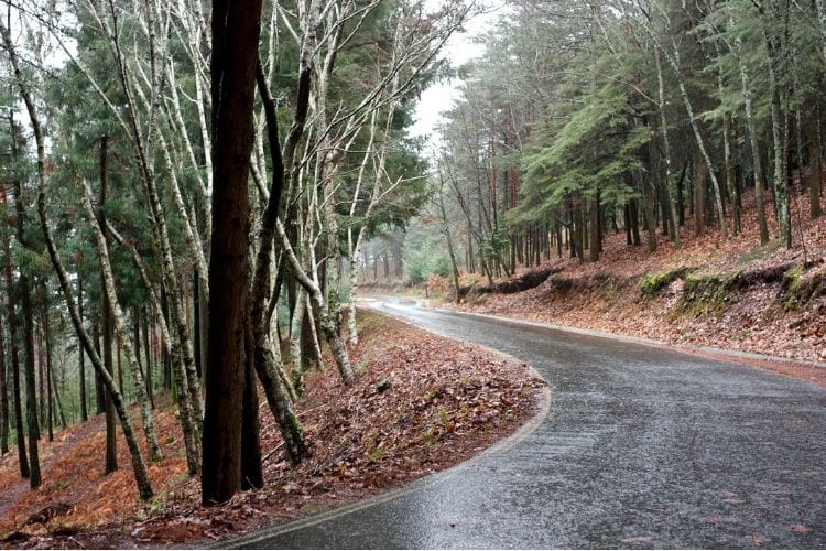 Paths in Serra da Gardunha